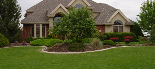 Curb Appeal