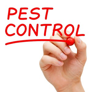 pest control